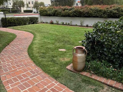 Lawn care service in Chula Vista, 91910
