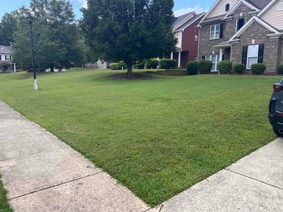 Lawn care service in Winder, 30680