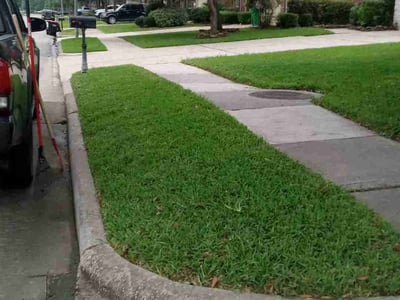 Lawn care service in Houston, 77044