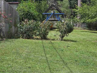 Lawn care service in Columbia, 29209