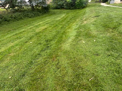 Lawn care service in Greenfield, 53219