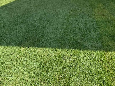 Lawn care service in Round Rock, 78664