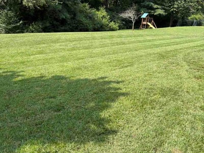 Lawn care service in Franklin, 37064