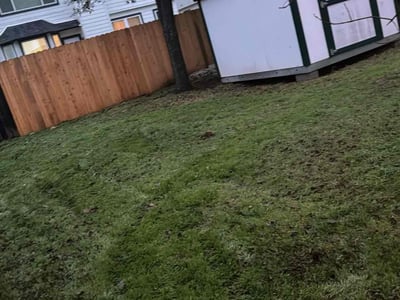 Lawn care service in Austin, 78749