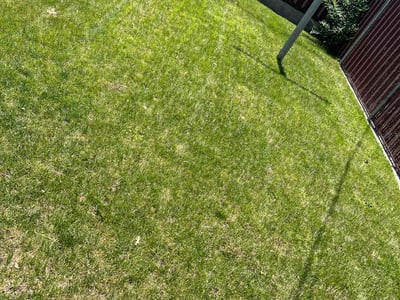 Lawn care service in Salt Lake City, 84109