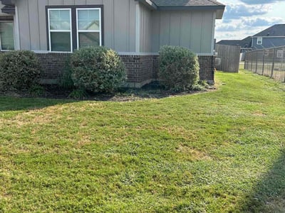 Lawn care service in Niederwald, 78640