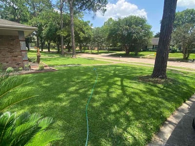 Lawn care service in Houston, 77035
