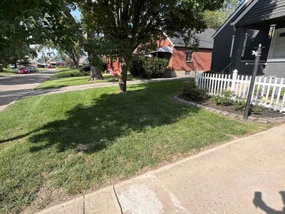Lawn care service in Dayton, 45419