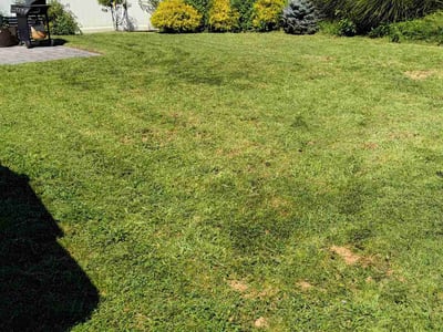 Lawn care service in Fair Lawn, 07410