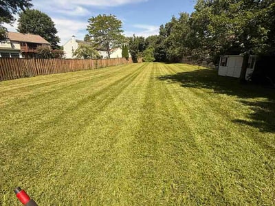 Lawn care service in Bowie, 20721