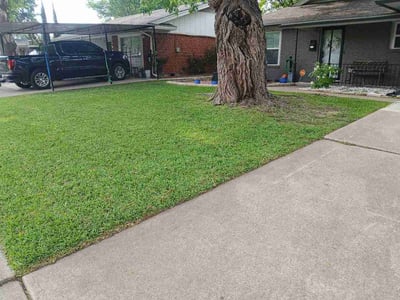 Lawn care service in Dallas, 75228