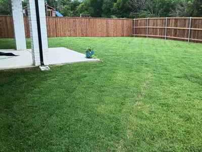 Lawn care service in McLendon-Chisholm, 75032