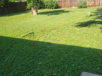 Lawn care service in Denver, 80219
