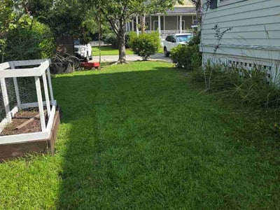 Lawn care service in Mount Pleasant, 29466