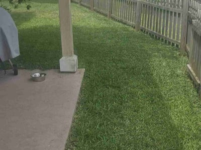 Lawn care service in Jacksonville, 32218