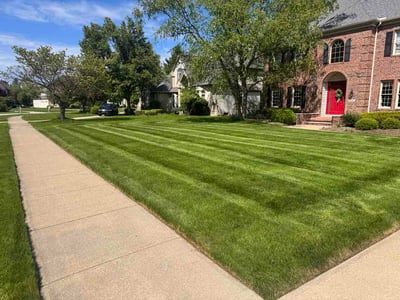 Lawn care service in Westlake, 44145