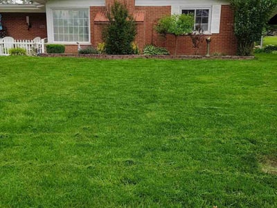 Lawn care service in St. Louis, 63125