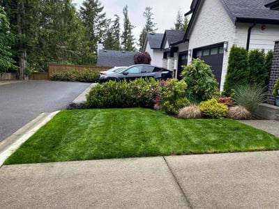 Lawn care service in Maple Valley, 98038