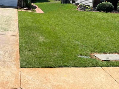 Lawn care service in Greenville, 29607