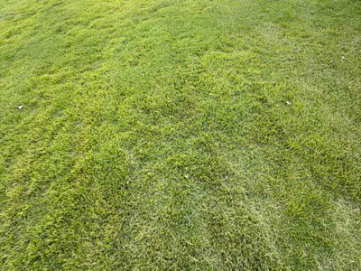 Lawn care service in Cherry Hill Township, 08002