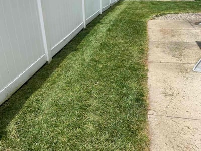 Lawn care service in Wethersfield, 06109