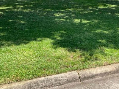 Lawn care service in Durham, 27707