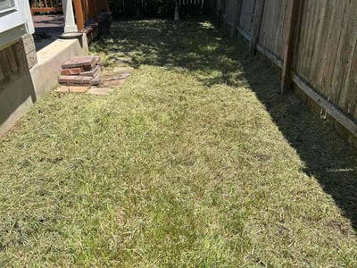 Lawn care service in Austin, 78749