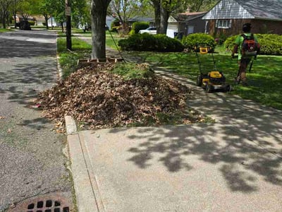 Lawn care service in Cleveland Heights, 44121