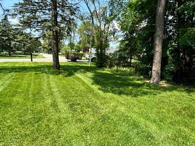 Lawn care service in Livonia, 48150