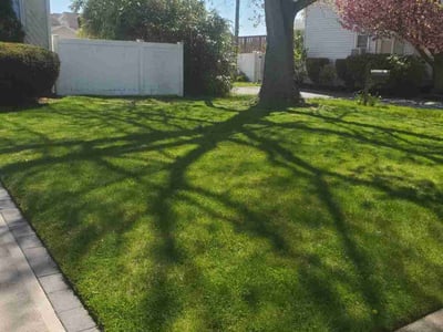 Lawn care service in Freeport, 11520