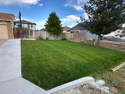 Lawn care service in Littleton, 80128