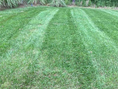 Lawn care service in Wake Forest, 27587