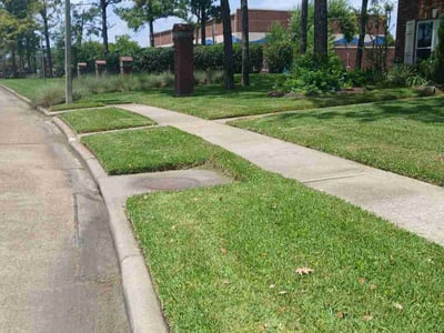 Lawn care service in Friendswood, 77546