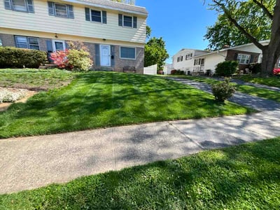 Lawn care service in Lititz, 17543