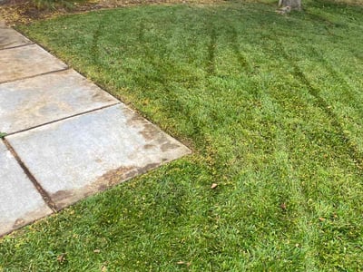 Lawn care service in Corona, 92880