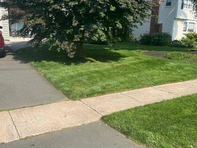 Lawn care service in West Hartford, 06117