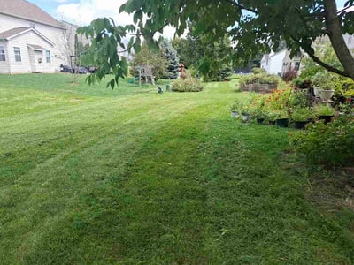 Lawn care service in Lewis Center, 43035