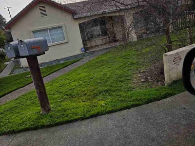 Lawn care service in Carmichael, 95608