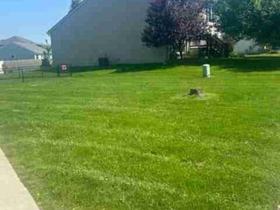 Lawn care service in Linden, 48451