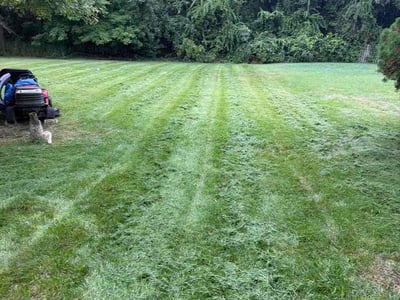 Lawn care service in Burlington Township, 08016