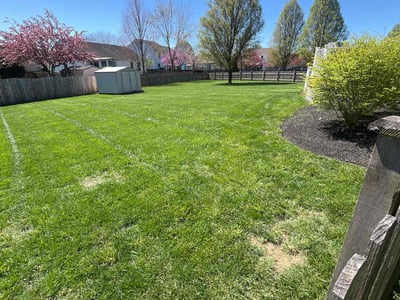 Lawn care service in Grove City, 43123