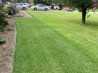 Lawn care service in Portsmouth, 23703