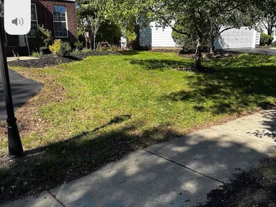 Lawn care service in Powell, 43065