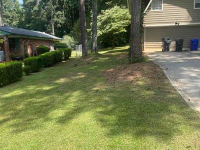 Lawn care service in Union City, 30291