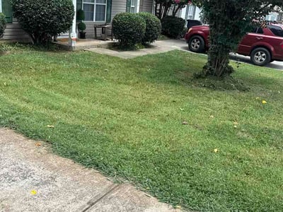Lawn care service in Charlotte, 28208