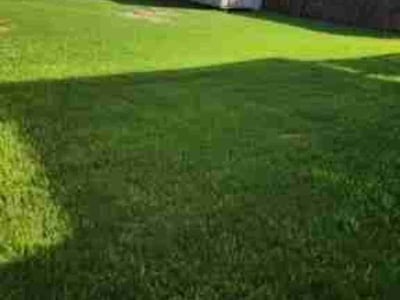 Lawn care service in Little Elm, 75068