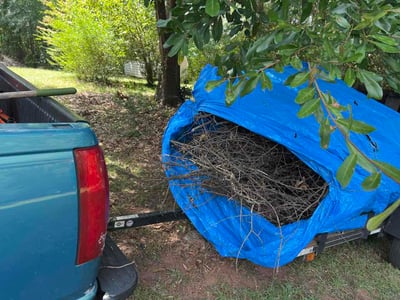 Lawn care service in Easley, 29640