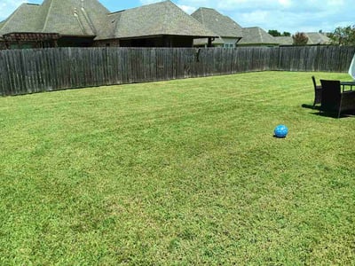 Lawn care service in Prairieville, 70769