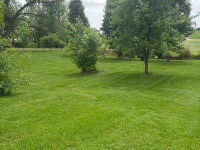 Lawn care service in Saint Charles, 63303