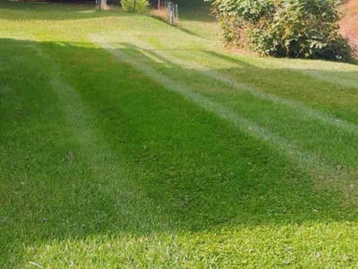 Lawn care service in Randallstown, 21133